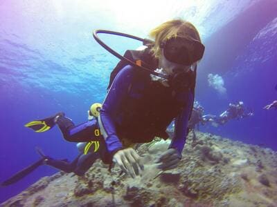 Discover Scuba Diving