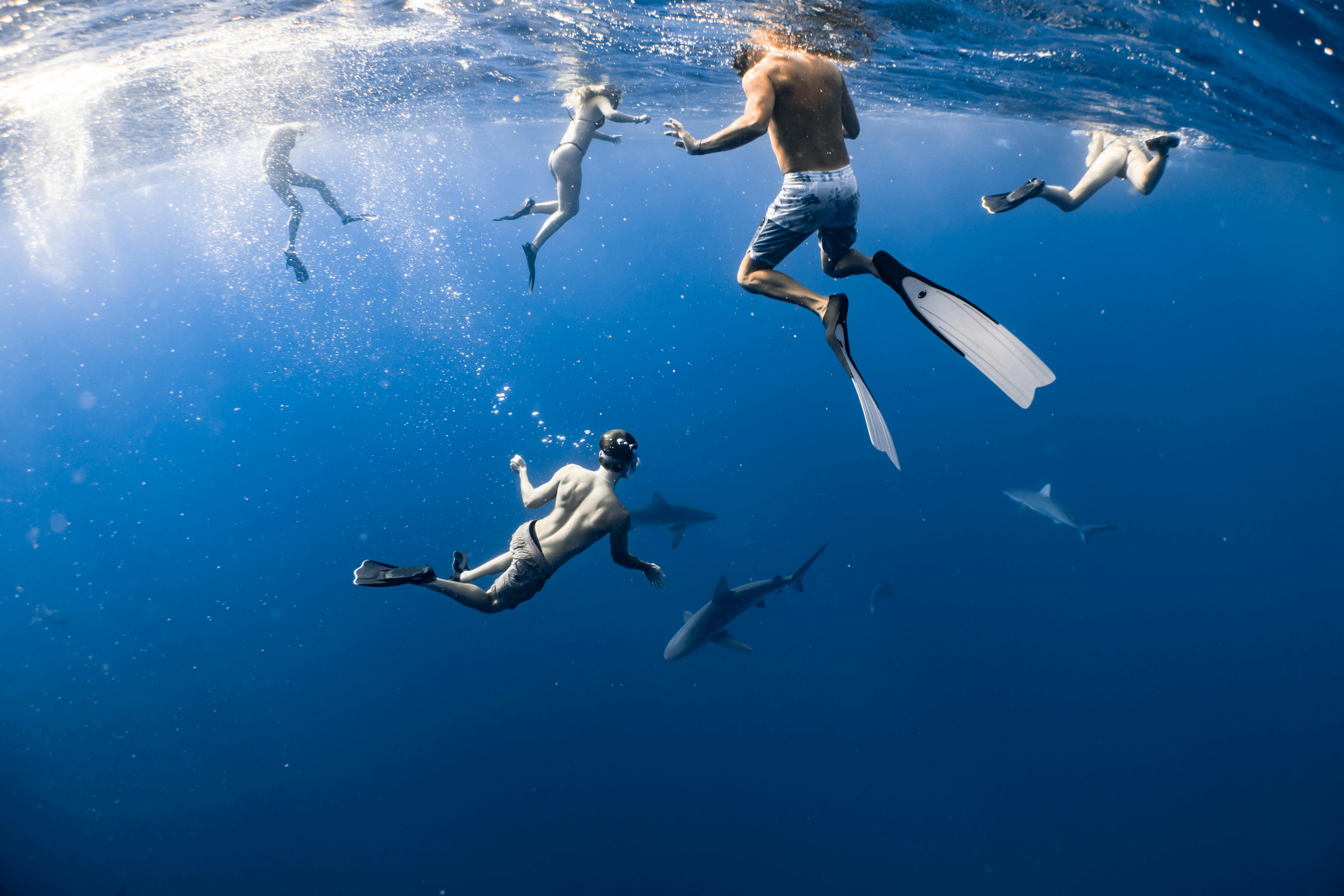 Mermaid Ocean Swimming Lesson in Maui